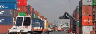 Nhập khẩu thực phẩm, nông sản đình trệ vì chờ hướng dẫn